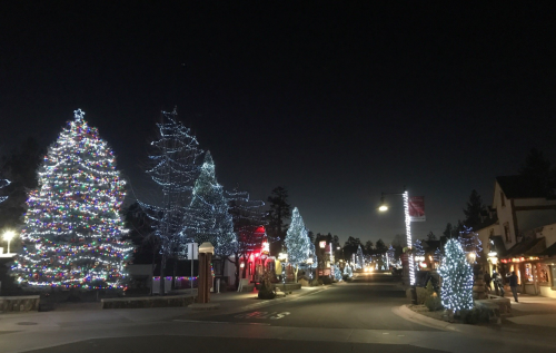 A festive street scene at night, lined with illuminated Christmas trees and holiday lights.