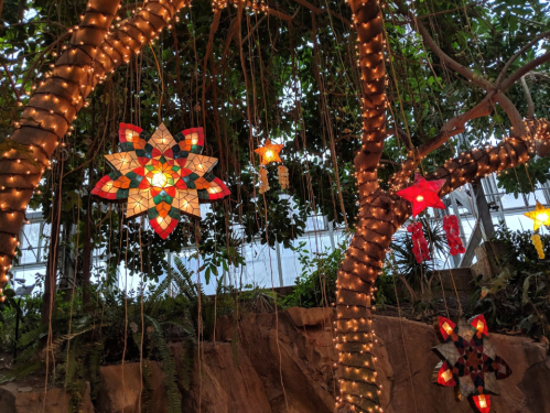 Colorful star-shaped lanterns hang from trees adorned with twinkling lights in a lush indoor garden.