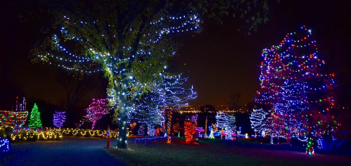 A park illuminated with colorful holiday lights on trees and decorations, creating a festive nighttime scene.