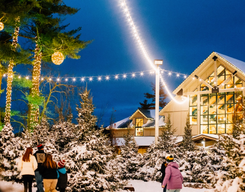 A snowy scene with people walking among decorated trees and a lit building under a twilight sky.