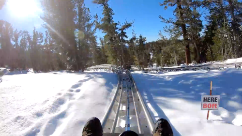 A view from a sled on a snowy track, surrounded by trees under a clear blue sky.