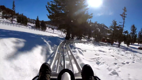 A thrilling view from a sled on a snowy track, surrounded by trees and a bright blue sky.