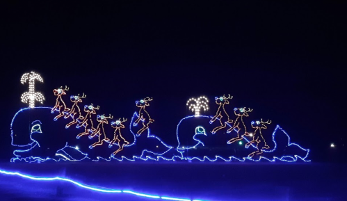 A festive display of illuminated whales and reindeer, glowing against a dark night sky.