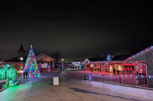 A festive scene featuring a brightly lit Christmas tree and decorated buildings at night.
