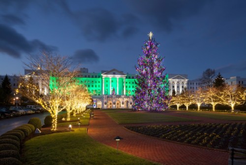 A brightly lit hotel with a large Christmas tree and festive lights in the foreground, set against a twilight sky.