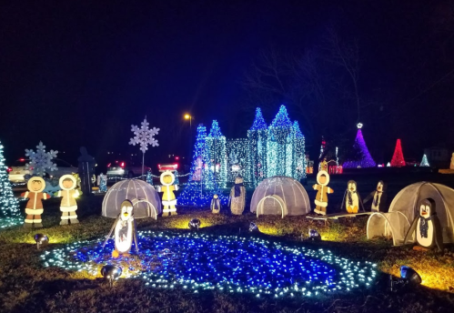Colorful holiday lights illuminate a winter scene with penguin decorations, igloos, and festive trees at night.