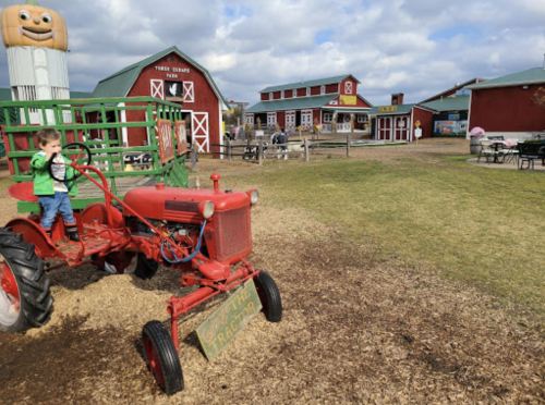 A child sits on a red tractor in a farmyard with red barns and a play area in the background.