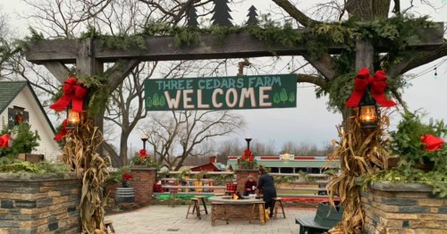 A festive entrance to Three Cedars Farm, decorated with greenery and red bows, welcoming visitors.