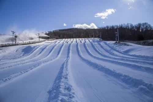 Snow-covered tubing hill with smooth, curved tracks under a clear blue sky and distant trees.