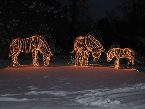 Three illuminated horse figures made of lights stand in a snowy yard, surrounded by a dark evening sky.