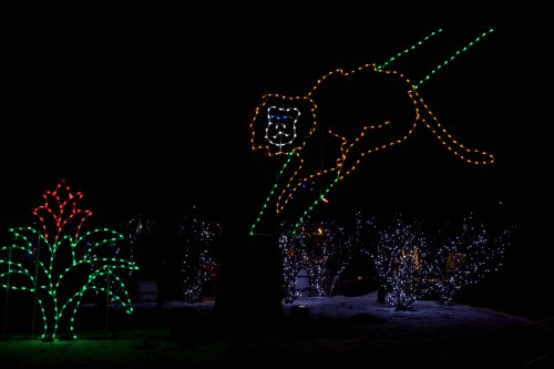 A glowing lion made of lights leaps above a colorful flower display in a dark, festive setting.