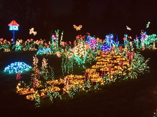 A vibrant display of colorful lights shaped like flowers, butterflies, and a birdhouse in a dark garden setting.