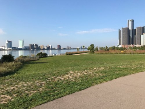 A grassy area by a river with a city skyline in the background under a clear blue sky.