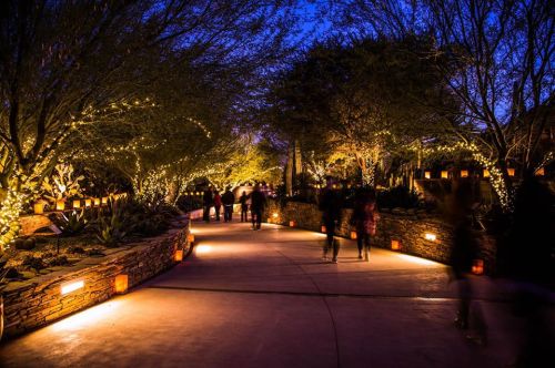 A softly lit pathway lined with trees and lanterns, bustling with people during twilight.