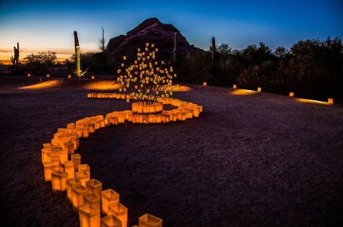 A winding path of glowing lanterns leads to a lit tree, set against a twilight desert landscape with mountains.