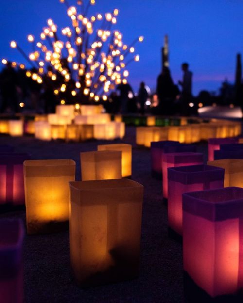 Colorful illuminated candles in the foreground with a glowing tree and silhouettes of people in the background at dusk.