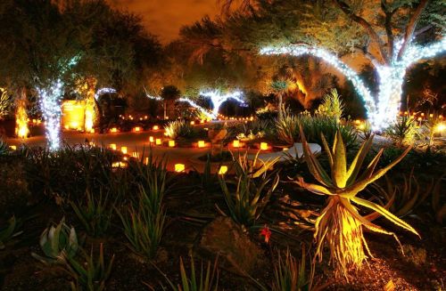 A serene garden at night, illuminated by glowing lanterns and twinkling lights on trees, surrounded by lush plants.