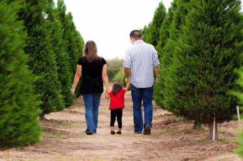 A family walks hand-in-hand down a path lined with tall green trees.