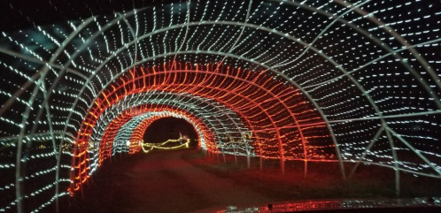 A colorful light tunnel with red and white lights creating a festive atmosphere at night.
