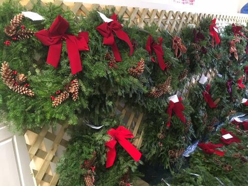 A display of festive green wreaths adorned with red bows and pinecones, arranged on a wooden lattice backdrop.