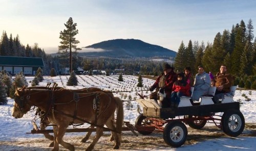 A horse-drawn wagon carries a group of people through a snowy landscape with evergreen trees and mountains in the background.