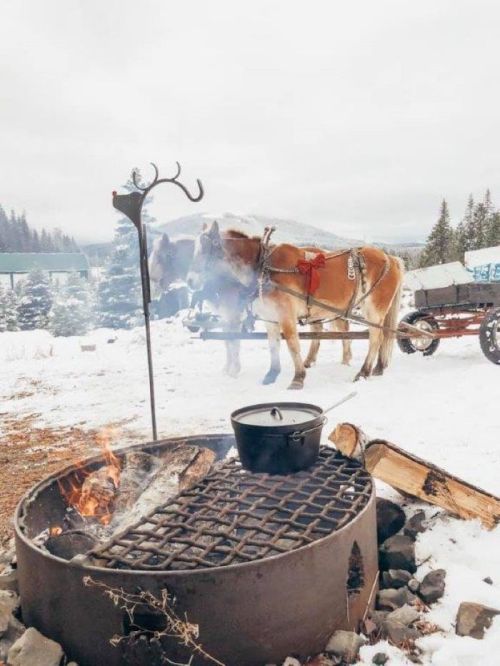 A snowy landscape with a fire pit, a pot cooking, and two horses hitched to a wagon in the background.