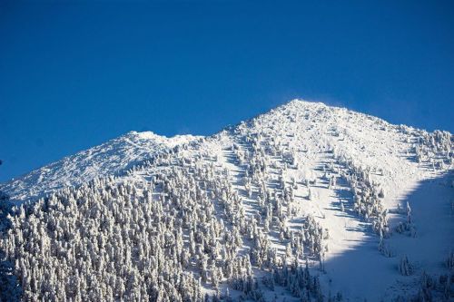Snow-covered mountain peak under a clear blue sky, surrounded by evergreen trees.