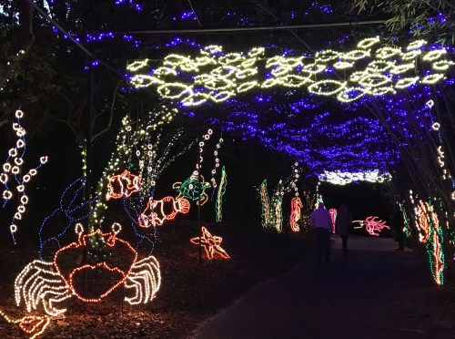 A pathway illuminated with colorful lights shaped like sea creatures and plants, creating a festive underwater scene.