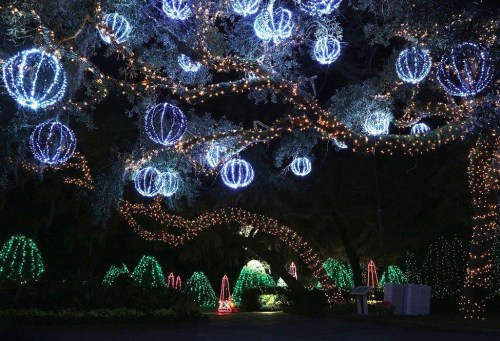 A beautifully lit garden at night, featuring blue and white spherical lights hanging from trees and colorful decorations below.