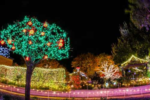 A vibrant display of colorful holiday lights on trees and bushes in a festive outdoor setting at night.