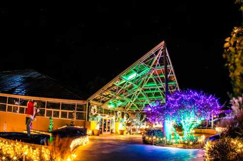 A brightly lit building at night, featuring colorful lights and a vibrant tree, creating a festive atmosphere.