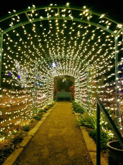 A pathway through an archway of glowing white lights, leading to a bench surrounded by greenery at night.