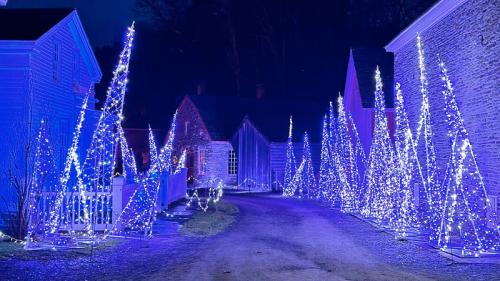A pathway lined with illuminated blue Christmas trees, surrounded by historic buildings at night.