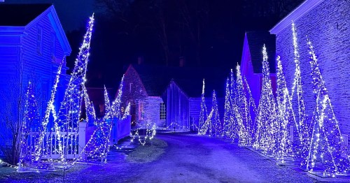 A pathway lined with illuminated blue Christmas trees, surrounded by historic buildings at night.
