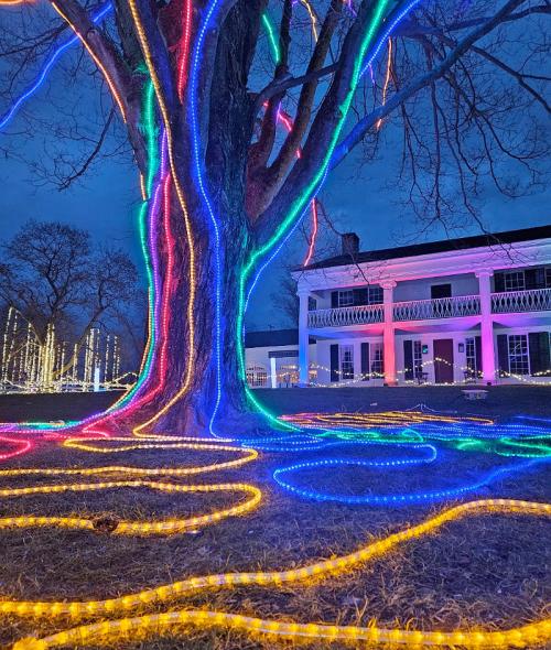 A tree wrapped in colorful lights, with a historic house in the background, illuminated against a twilight sky.