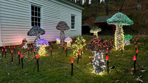 Colorful mushroom-shaped lights illuminate a garden, surrounded by red-tipped lights and a white building in the background.