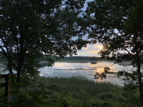 A serene lake at sunset, framed by trees, with reflections on the water and lush greenery surrounding the shore.
