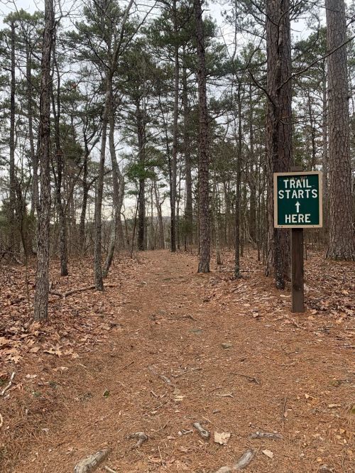 A dirt path through a forest with a sign that reads "Trail Starts Here" surrounded by tall trees.