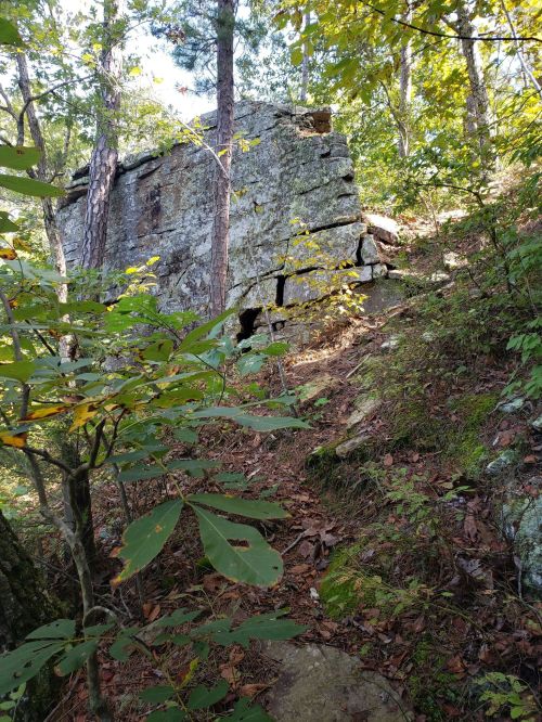 A rocky outcrop surrounded by trees and foliage on a hillside, with a small opening visible in the rock.