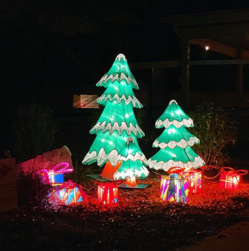 Two illuminated Christmas trees in green and white, surrounded by colorful gift boxes, glowing in a nighttime setting.