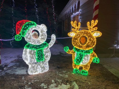 Two illuminated holiday figures: a polar bear in a red hat and a reindeer, both wearing green scarves, in a snowy setting.
