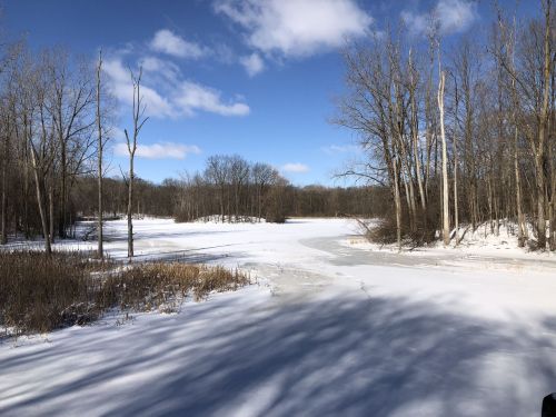A snowy landscape with a frozen lake, surrounded by bare trees under a blue sky with scattered clouds.