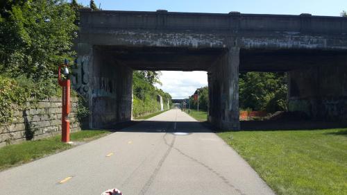 A bike path leads under a weathered concrete overpass, surrounded by greenery and graffiti on the walls.
