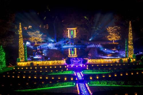 A beautifully lit garden at night, featuring colorful lights, trees, and a serene water feature.