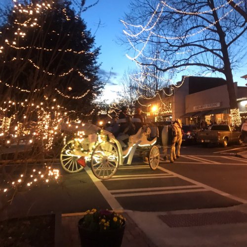 A horse-drawn carriage passes by festive lights in a charming town square at dusk.