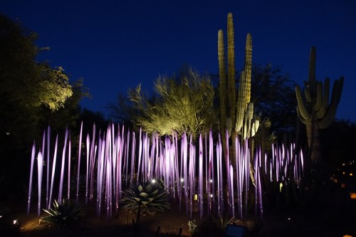 Colorful glass sculptures rise among desert plants, illuminated at night, creating a vibrant, artistic landscape.