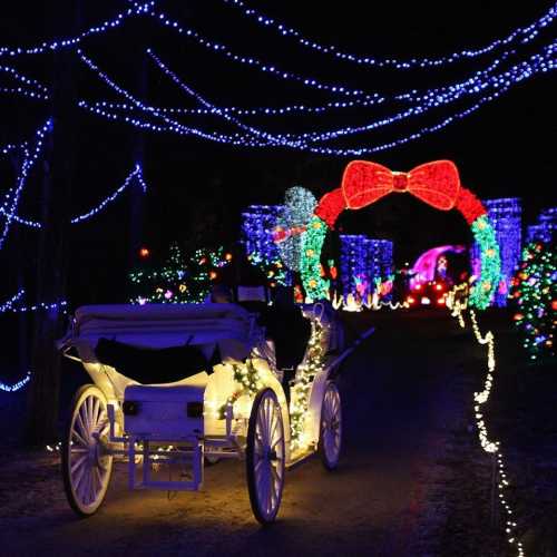 A festive pathway illuminated with colorful holiday lights, featuring a white horse-drawn carriage.