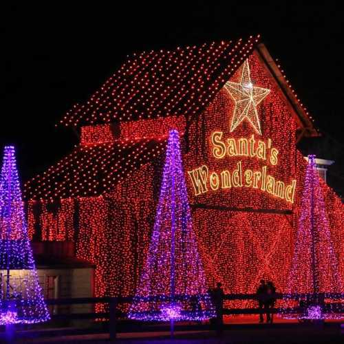 A festive building adorned with bright lights and a star, surrounded by illuminated Christmas trees.