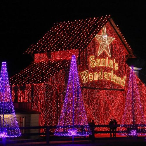 A festive building adorned with bright lights and a star, surrounded by illuminated Christmas trees.