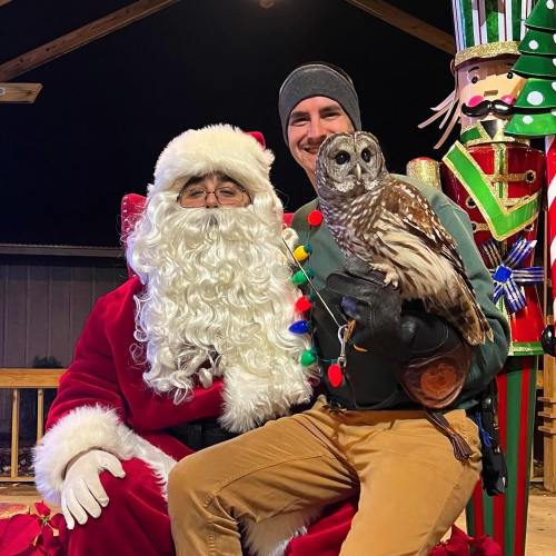 A person dressed as Santa sits with a man holding an owl, both smiling in a festive setting.